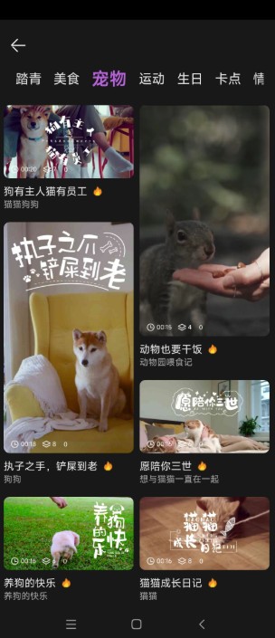 竟球app讲解